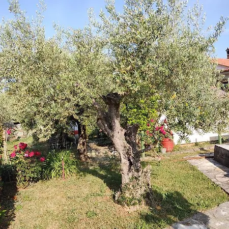 App Klabot *** Appartement *
